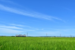 Local train journey