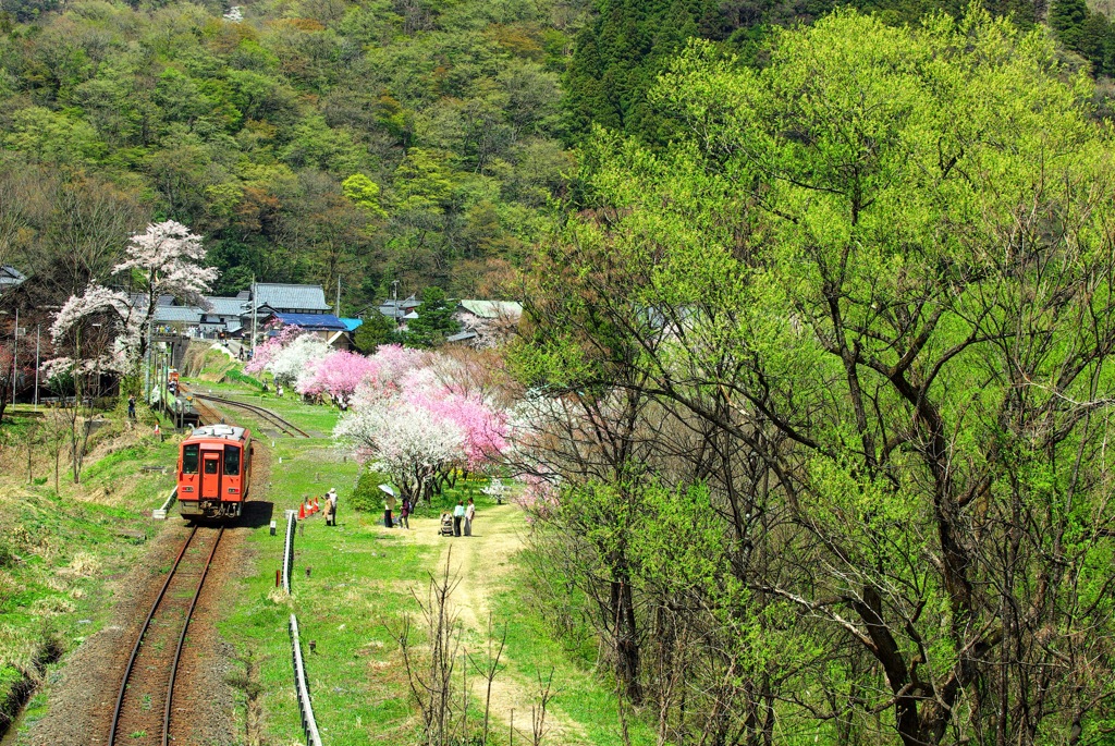 Etsumi-Hoku Line 1st