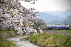 Riding the Spring Wind