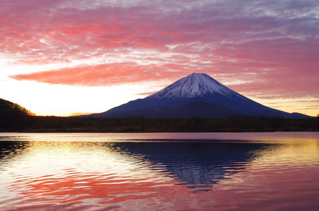 Mt.Fuji