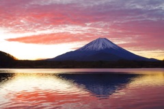 Mt.Fuji