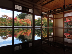 床紅葉