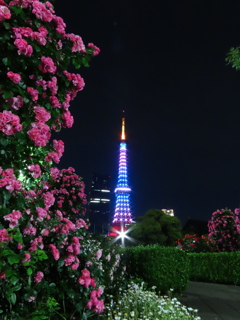 バラと東京タワー