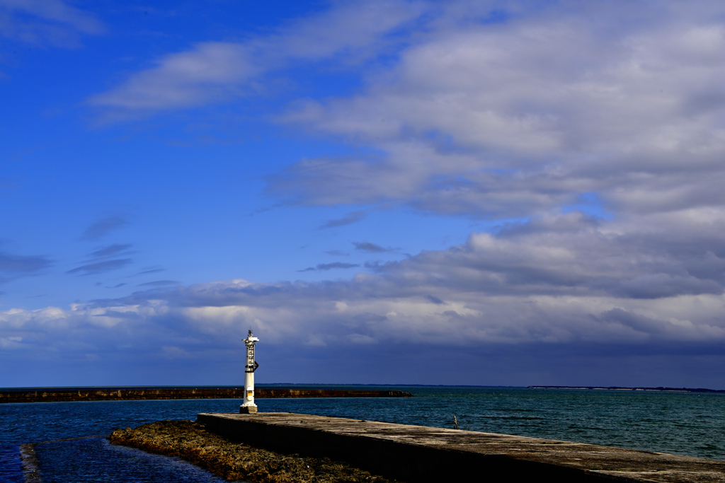 _DSC8481