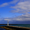 _DSC8481