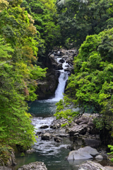 _DSC4600