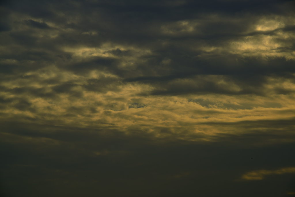 _DSC8234