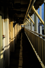 _DSC0007