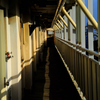 _DSC0007