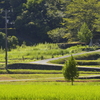 _DSC0194_E01