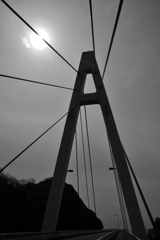 _DSC7804