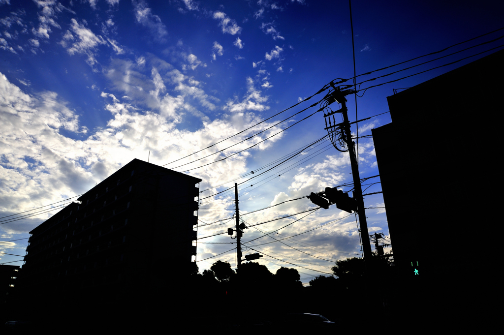 _DSC0001