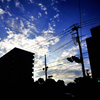 _DSC0001