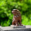 _DSC7456