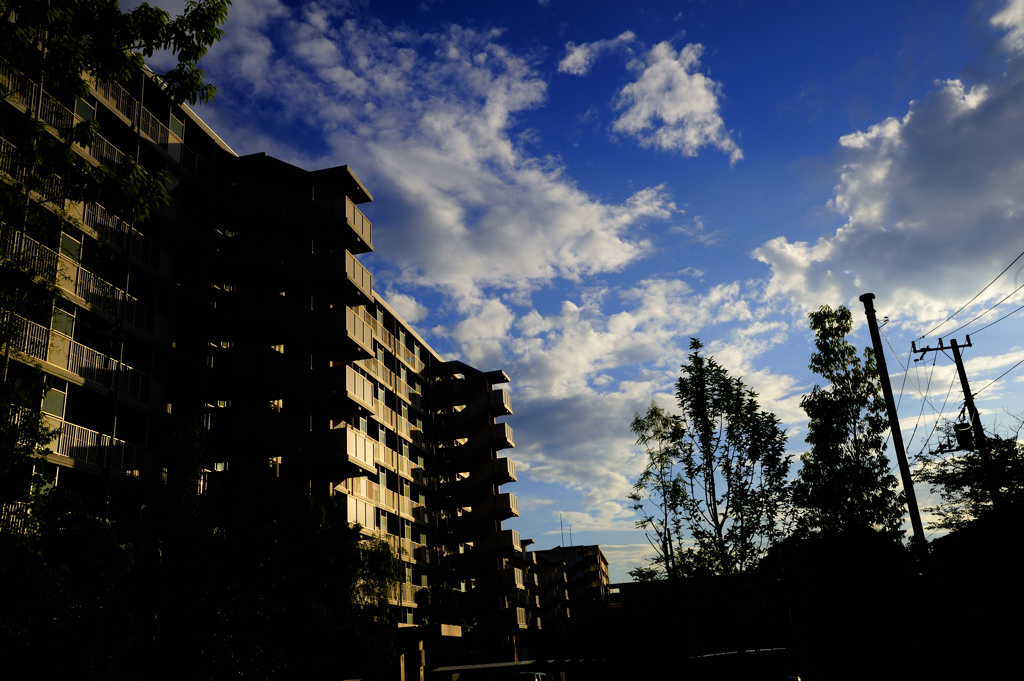 _DSC0068