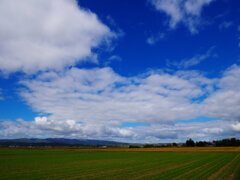 IMGP00102