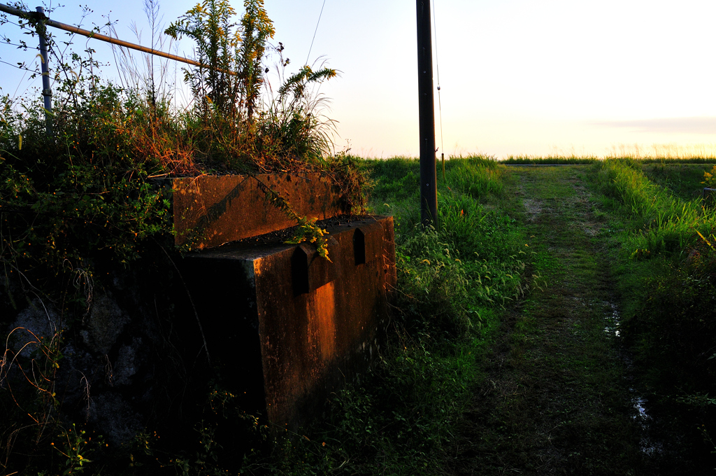 _DSC0161
