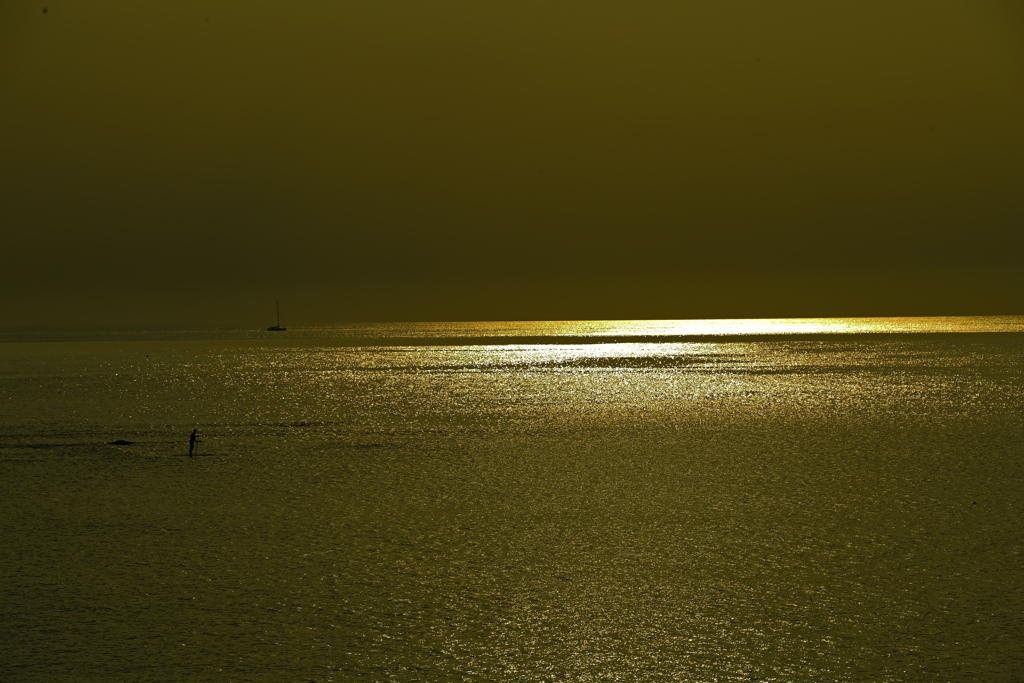 _DSC8811