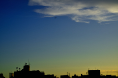 _DSC8415