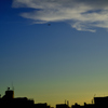 _DSC8415