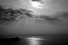 _DSC8800