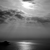 _DSC8800