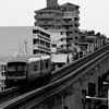 _DSC8108