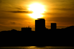 _DSC6374