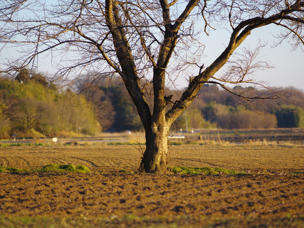 IMGP0019