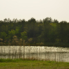 _DSC7914
