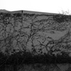 _DSC8030