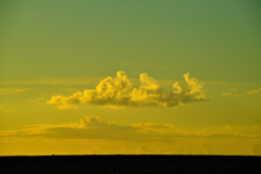 _DSC6752