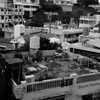 _DSC8120