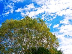 IMGP00281