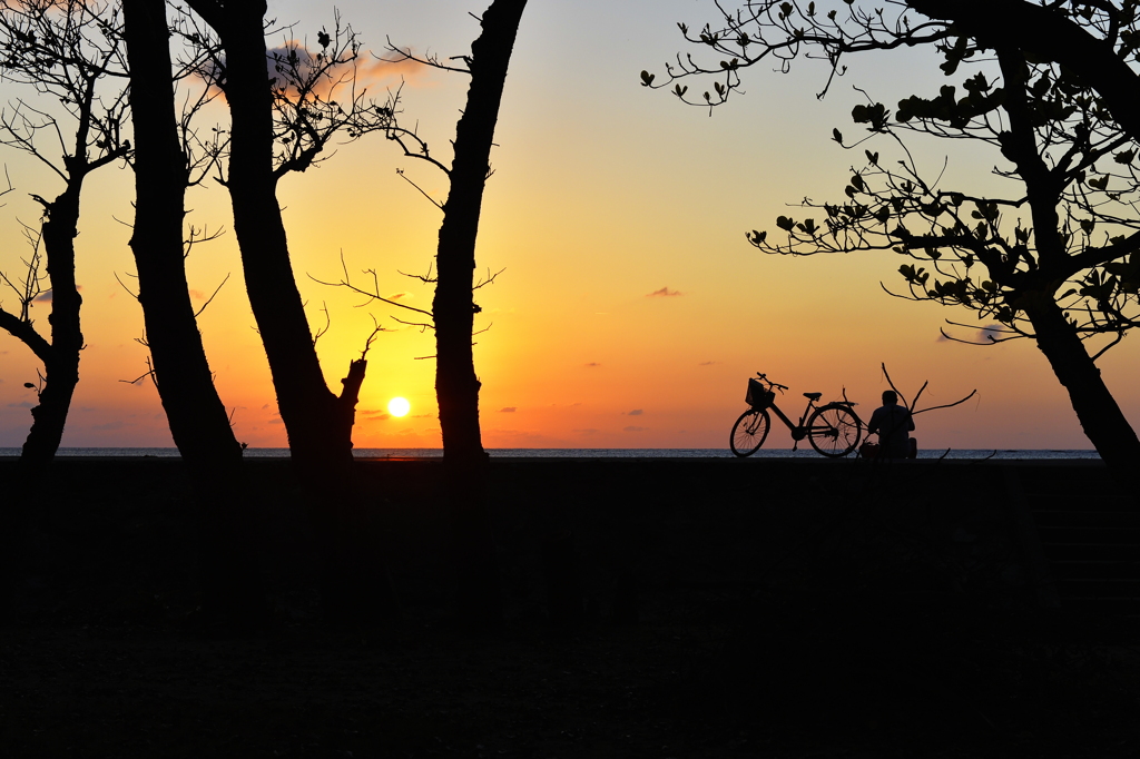_DSC0333_E01