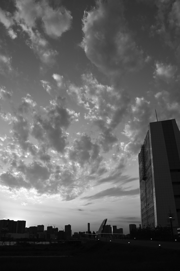 _DSC7413