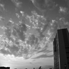 _DSC7413
