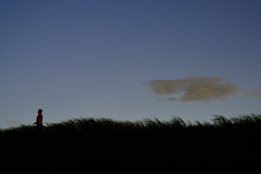 _DSC8451