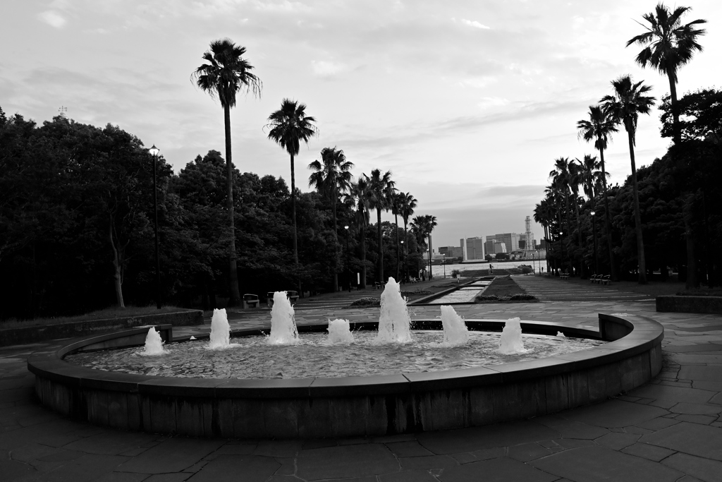 _DSC7393
