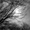 _DSC7685