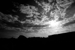 _DSC0016