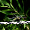 _DSC8602