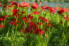 _DSC4864_00001
