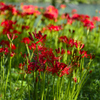 _DSC4864_00001