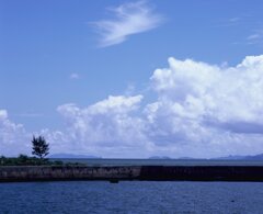 昼下がりの船浦港（フィルム）