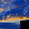_DSC2709