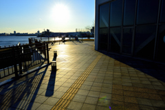_DSC7989
