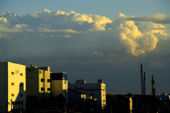 _DSC7355