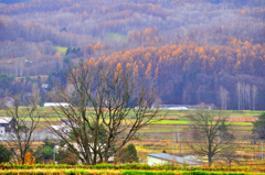 _DSC0336