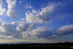 _DSC8585